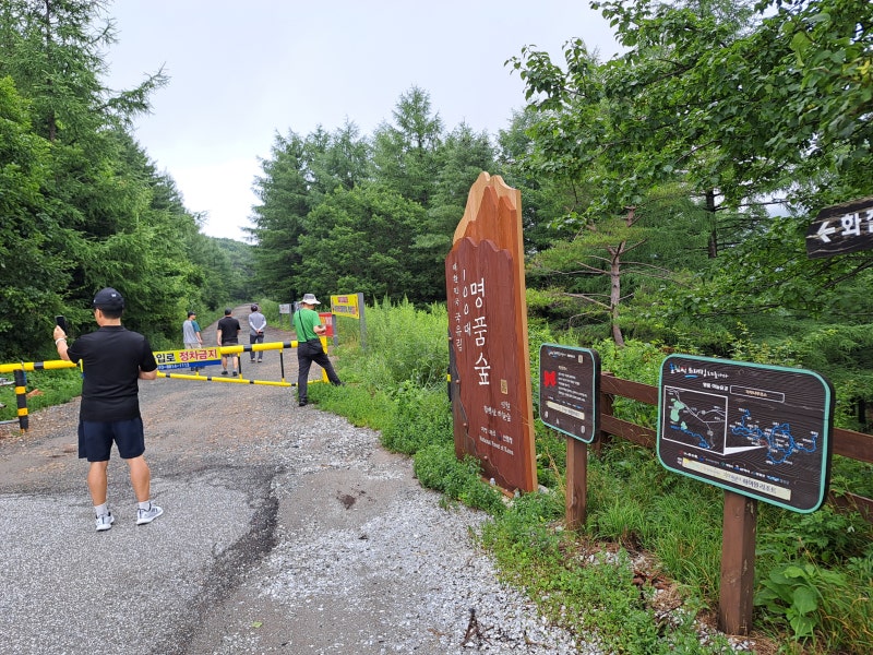 가을철 10월 제철음식처럼 끌리는 만항재 드라이브와 숲길 산책