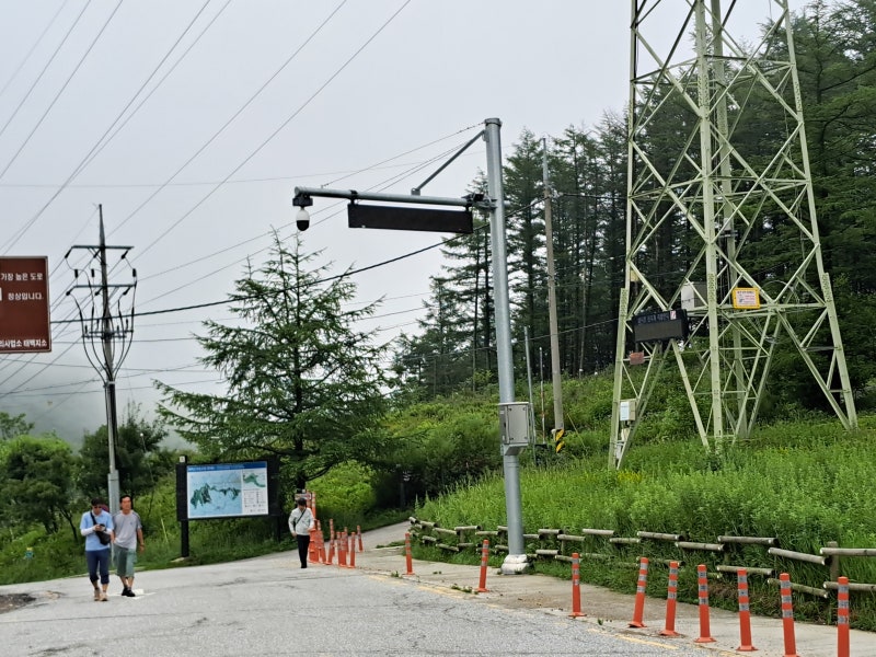 가을철 10월 제철음식처럼 끌리는 만항재 드라이브와 숲길 산책