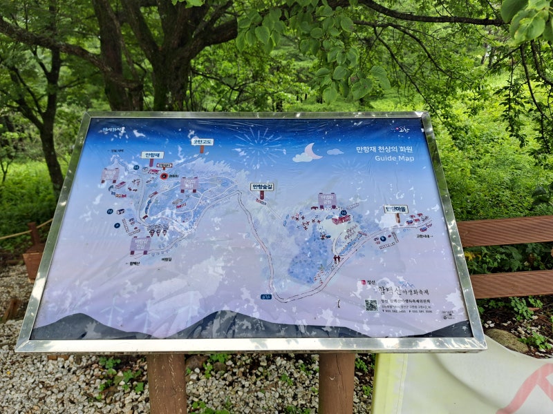 가을철 10월 제철음식처럼 끌리는 만항재 드라이브와 숲길 산책