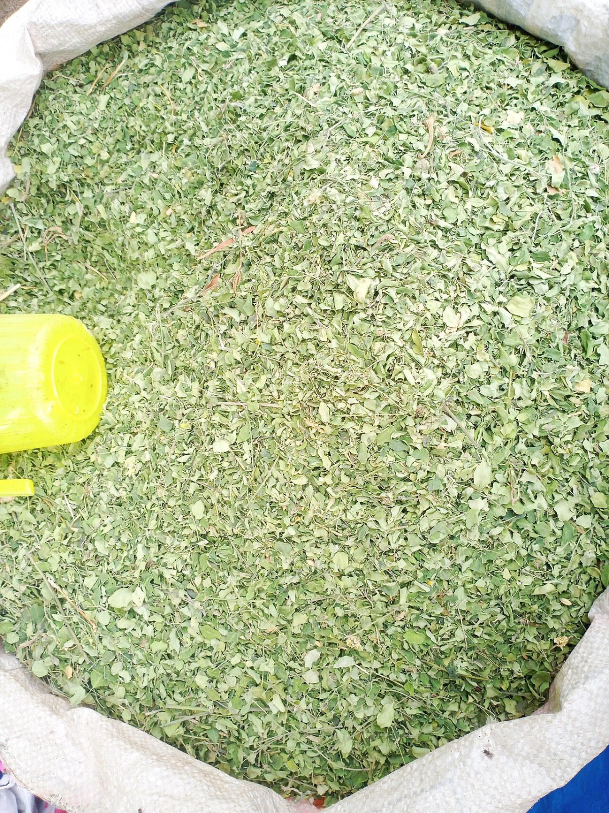 혜화동 대학로 5대 삼계탕맛집 마당너른집, 들깨녹두 삼계탕이랑 닭매운탕 솔직히 다녀온 이야기